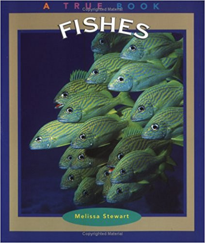 Fishes by Melissa Stewart